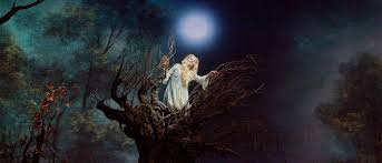 Metropolitan Opera | Nightly Met Opera Streams